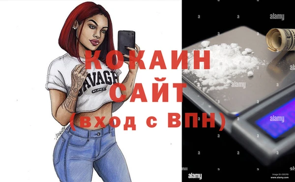 индика Нефтекумск
