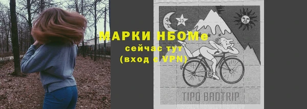 индика Нефтекумск