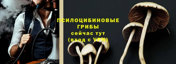 индика Нефтекумск