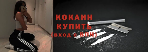 mix Анива