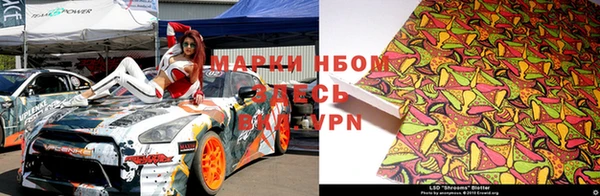 индика Нефтекумск