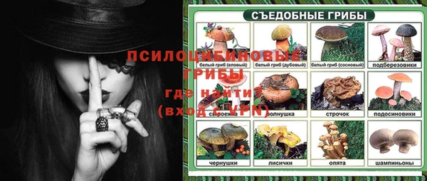 ГАЛЛЮЦИНОГЕННЫЕ ГРИБЫ Нефтегорск