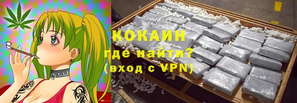 индика Нефтекумск