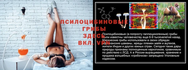 ГАЛЛЮЦИНОГЕННЫЕ ГРИБЫ Нефтегорск