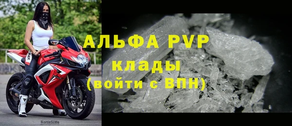 индика Нефтекумск