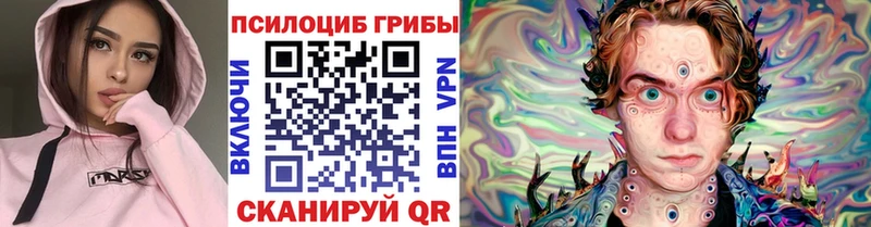 Галлюциногенные грибы мицелий как найти закладки Яранск
